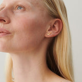 Sheen Earrings