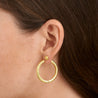 Allie Hoop Earrings - Gold
