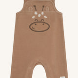 Memo  Overall