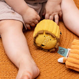 Sensory Blocks - 4 Animals