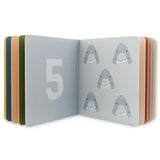 Counting Book
