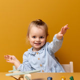 Wooden Animal Airplane