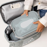 Mr Shark Lunch Box