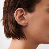 Night Light Ear Sticks