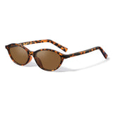Dahl Havana Sunglasses