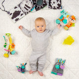 Baby’s First Playtime