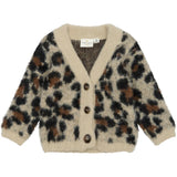 Pamela Cardigan