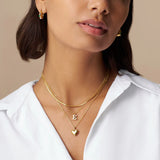 Luxe Flat Snake Chain Necklace - Gold