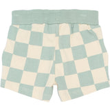 Sebastian Shorts - Aqua Gray