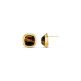 Tigers Eye Studs