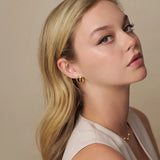 Tigers Eye Studs
