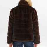 Windal Jacket