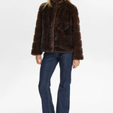 Windal Jacket